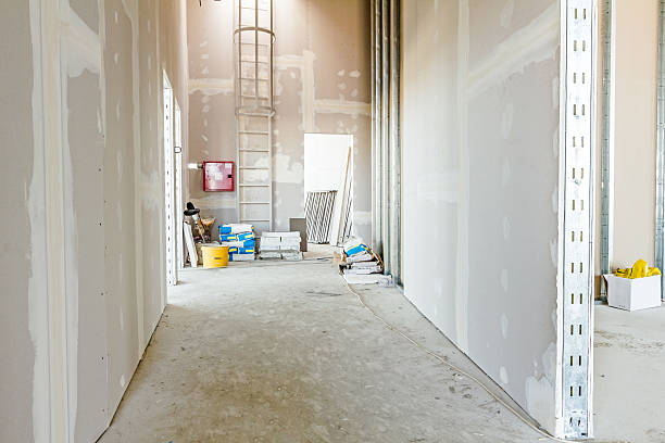 Trusted Lake Magdalene, FL Drywall & Painting Services Experts